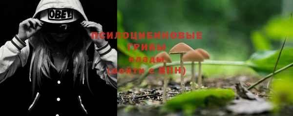 прущая мука Бородино