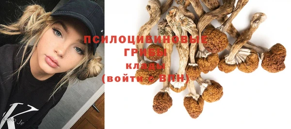 МДПВ Бугульма