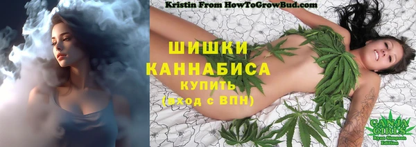 мдпв Семилуки